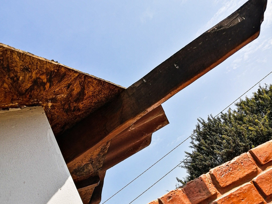 Paijan旅游攻略图片