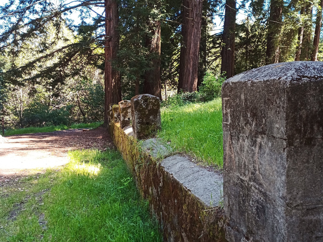 Mount Madonna County Park-沃森维尔必去景点