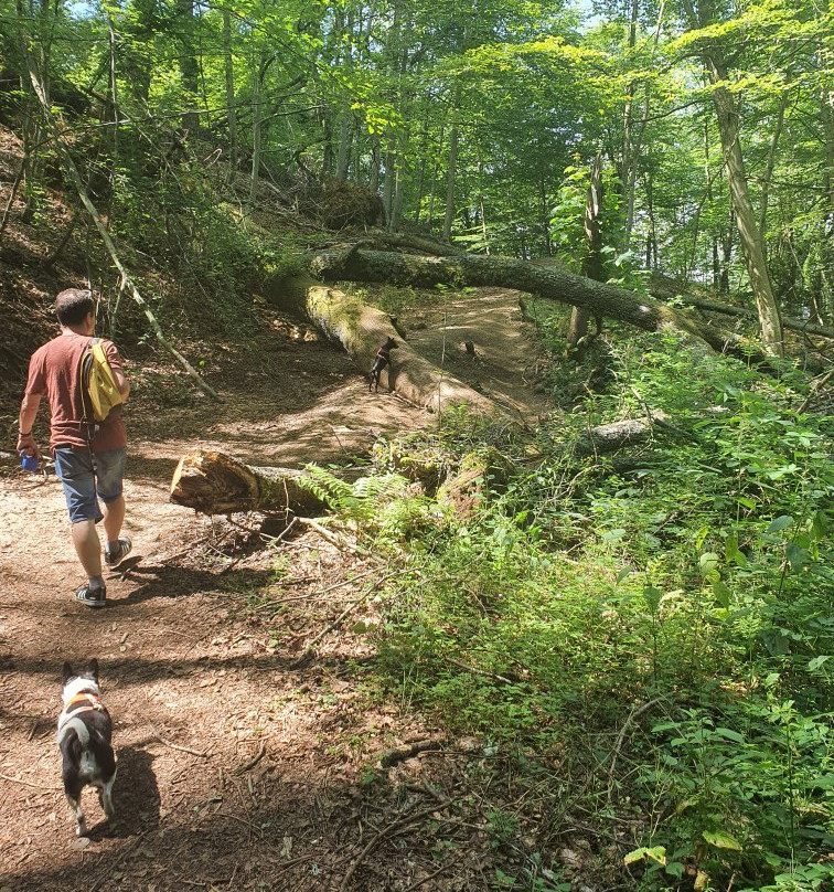 Vierge du Bedat-Bagneres-de-Bigorre必去景点