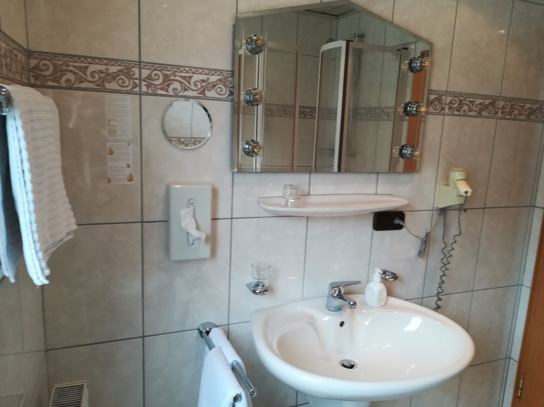 Hotel Krone主图
