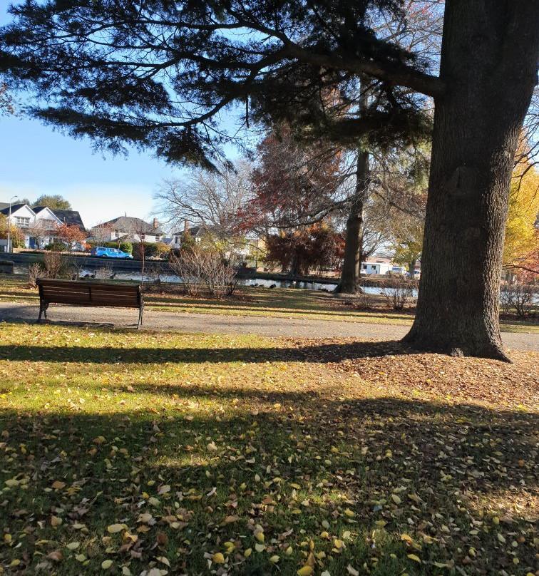 Ashburton Domain景点图片