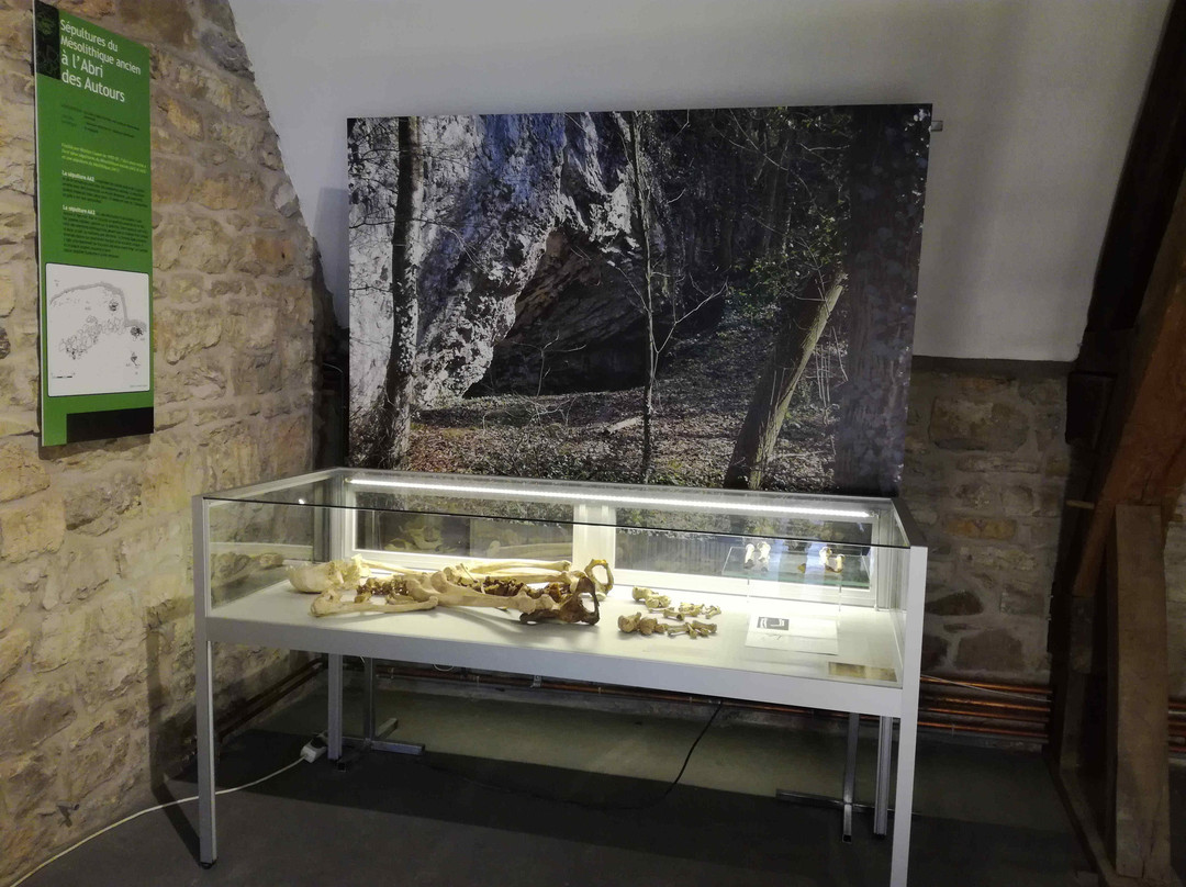 Musée Archéologique de la Haute-Meuse景点图片