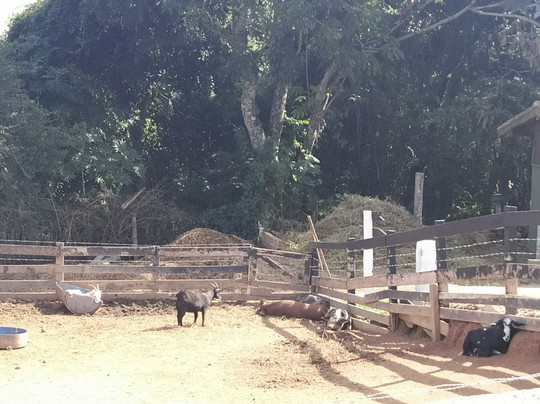 Ladiv'ttá Spa & Hotel Boutique主图