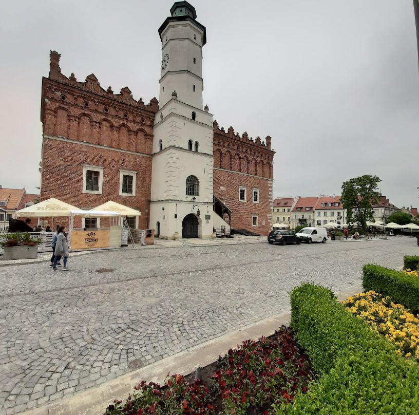 Town Hall Sandomierz-Sandomierz必去景点