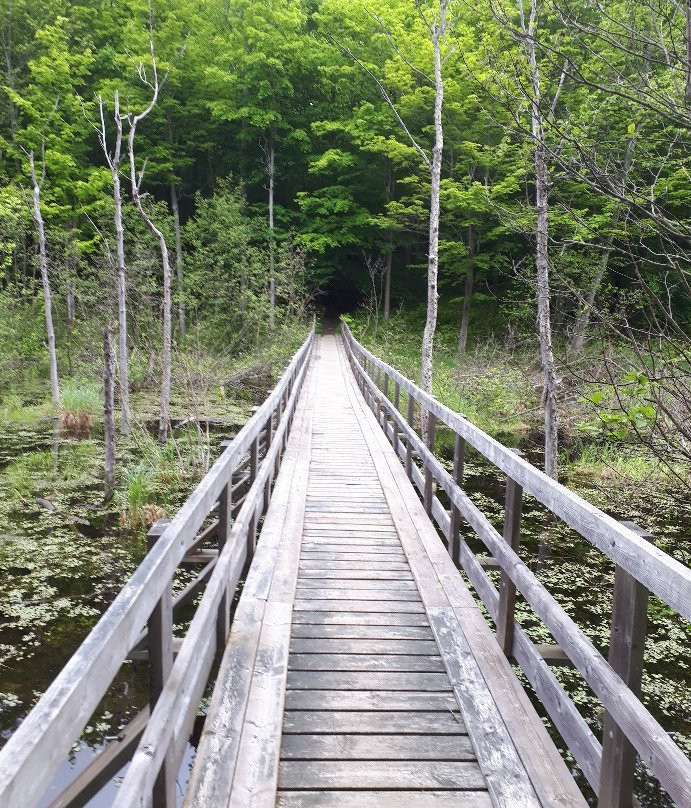Frontenac Provincial Park-Verona必去景点