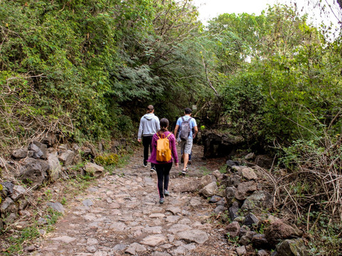 Recorridos de Autor-瓜达拉哈拉必去景点