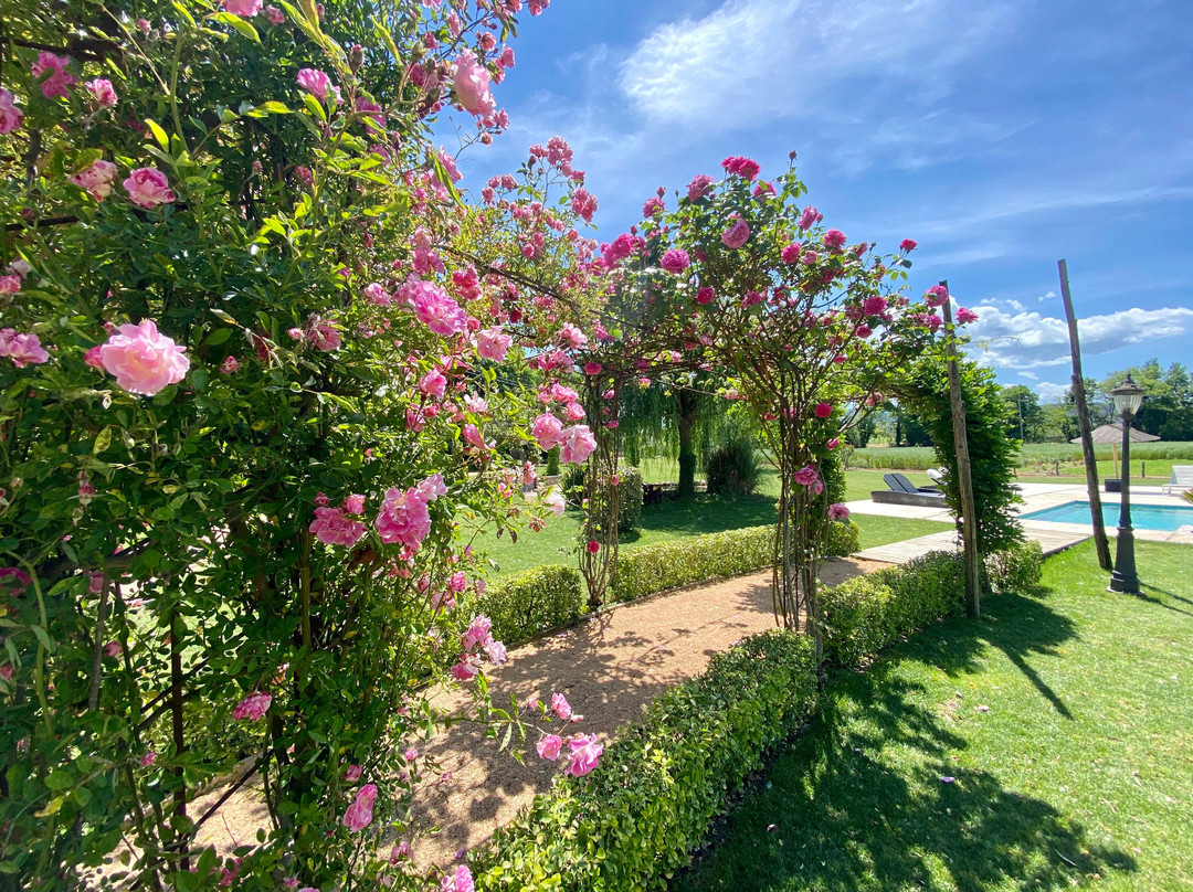 Mas Carreras 1846主图