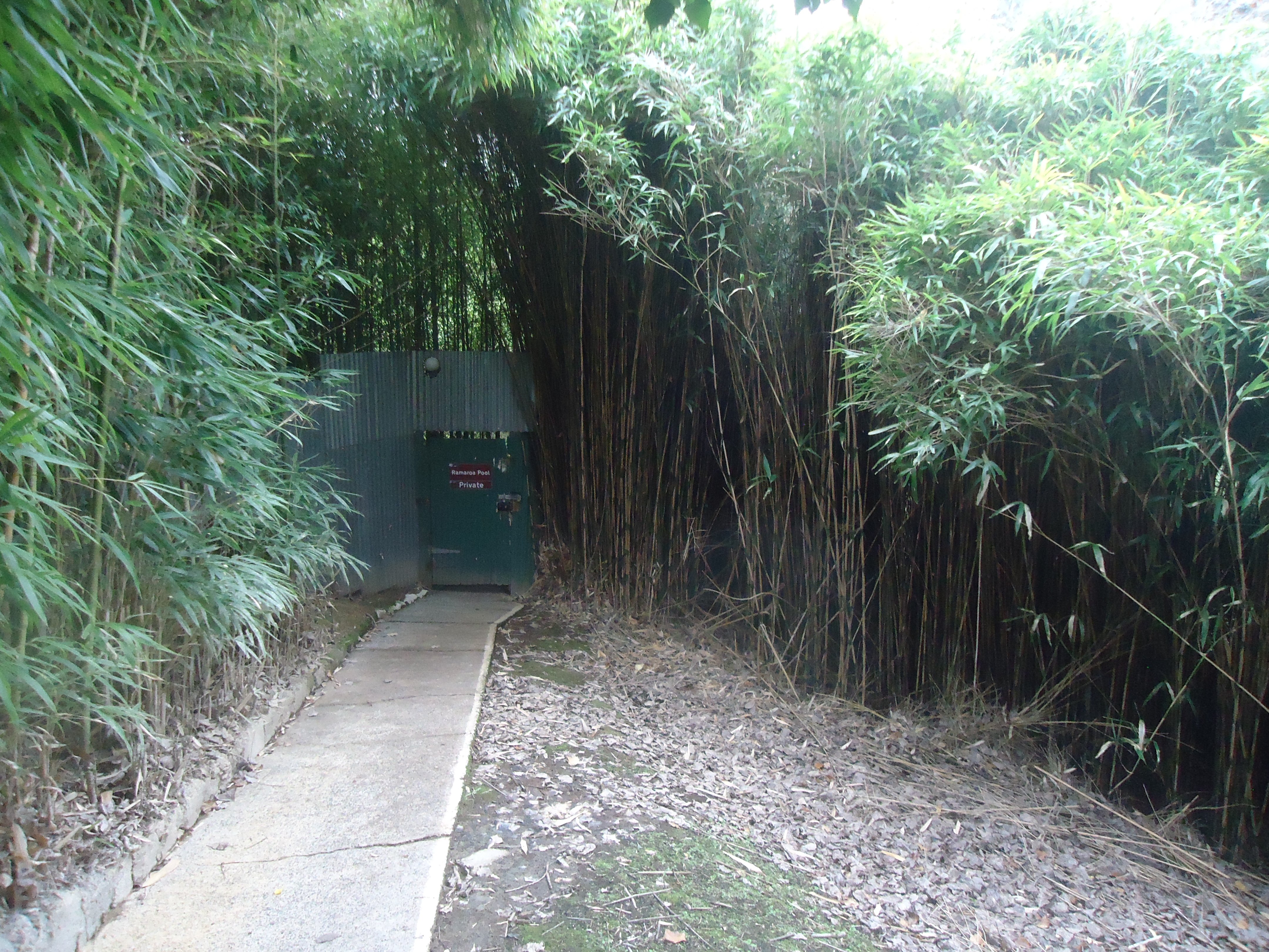 欧泊温泉假日公园-泳池