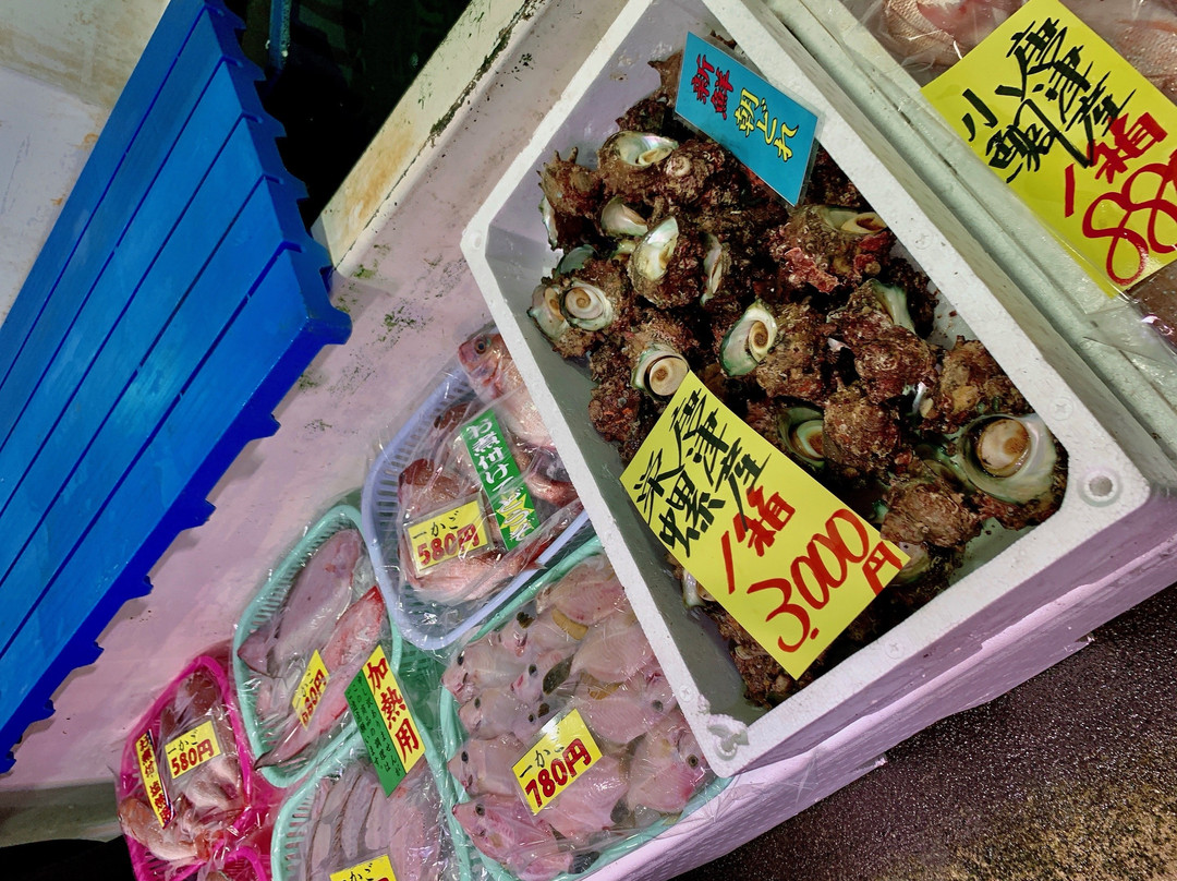 Marine Center Osakanamura-唐津市必去景点