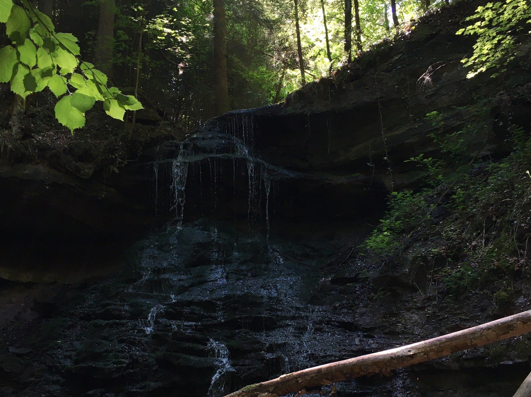 Naturpark Schwaebisch-Fränkischer Wald景点图片