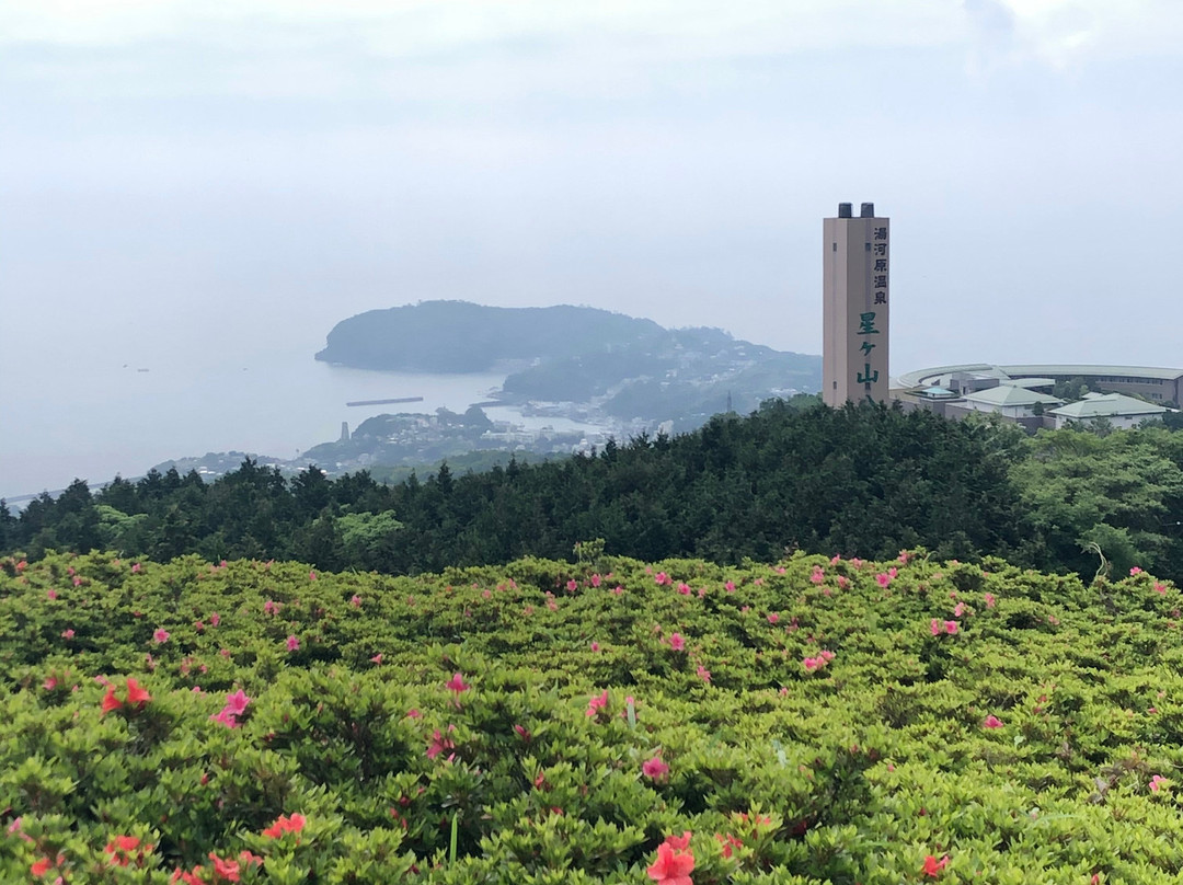 Hoshigayama Park Satsuki no sato-汤河原町必去景点