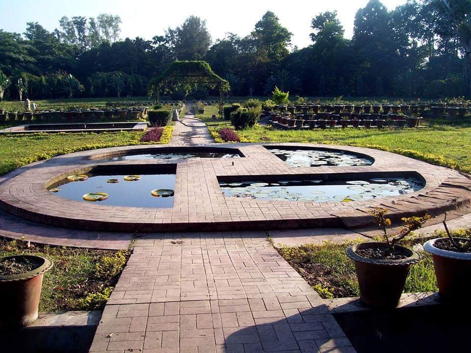 National Botanical Garden景点图片