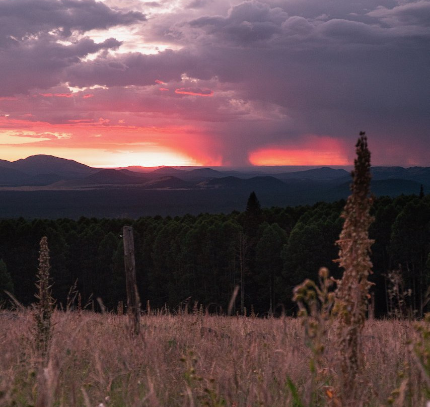 Humphrey's Peak-弗拉格斯塔夫必去景点