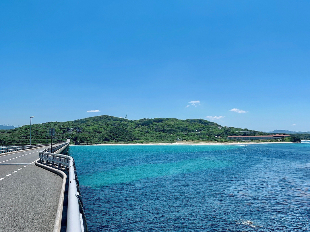 Tsunoshima Island-下关市必去景点