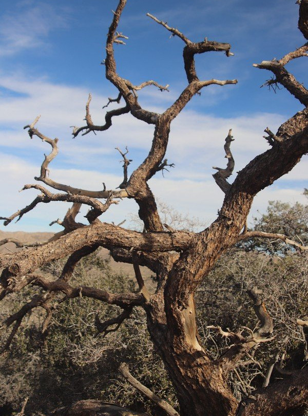 Hi-View Nature Trail-Yucca Valley必去景点