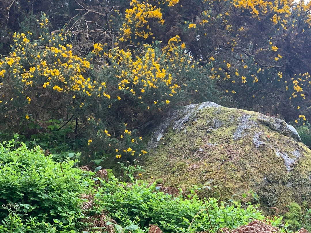 The Scalp-Enniskerry必去景点