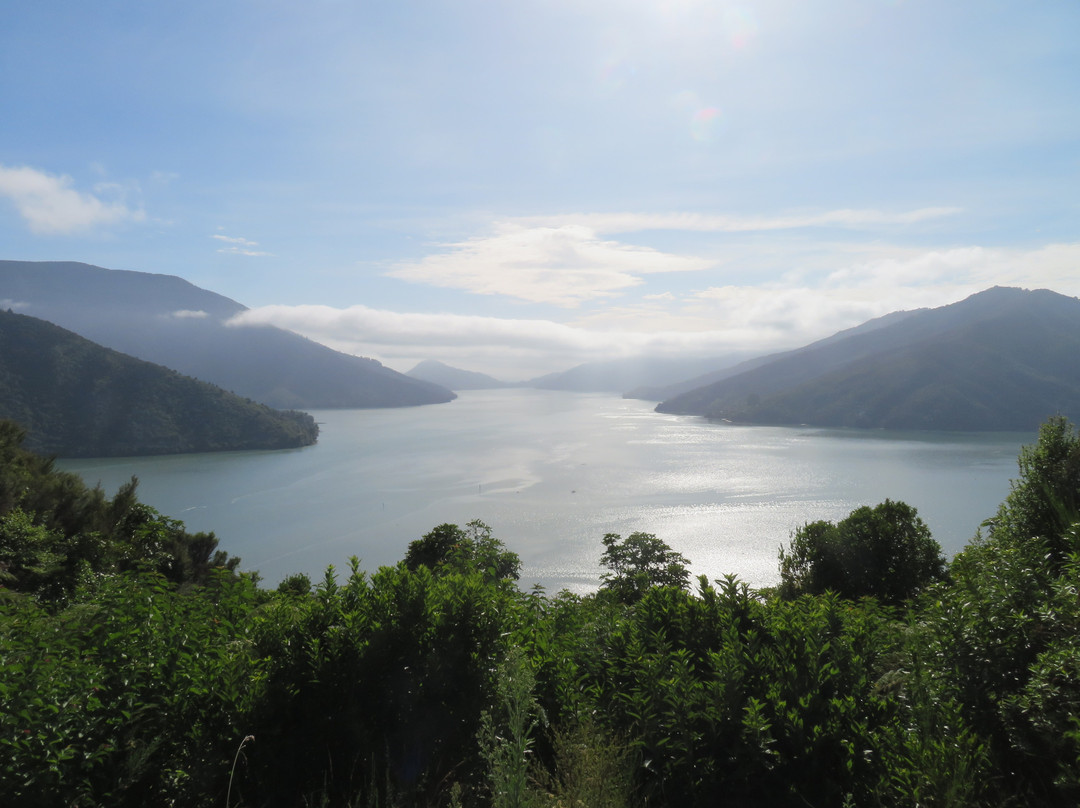 Cullen Point Tracks景点图片