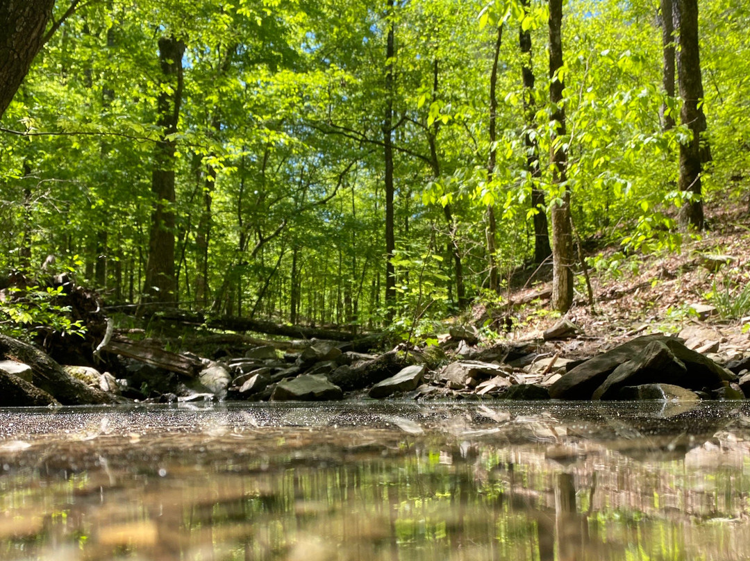 Beavers Bend State Park and Nature Center景点图片