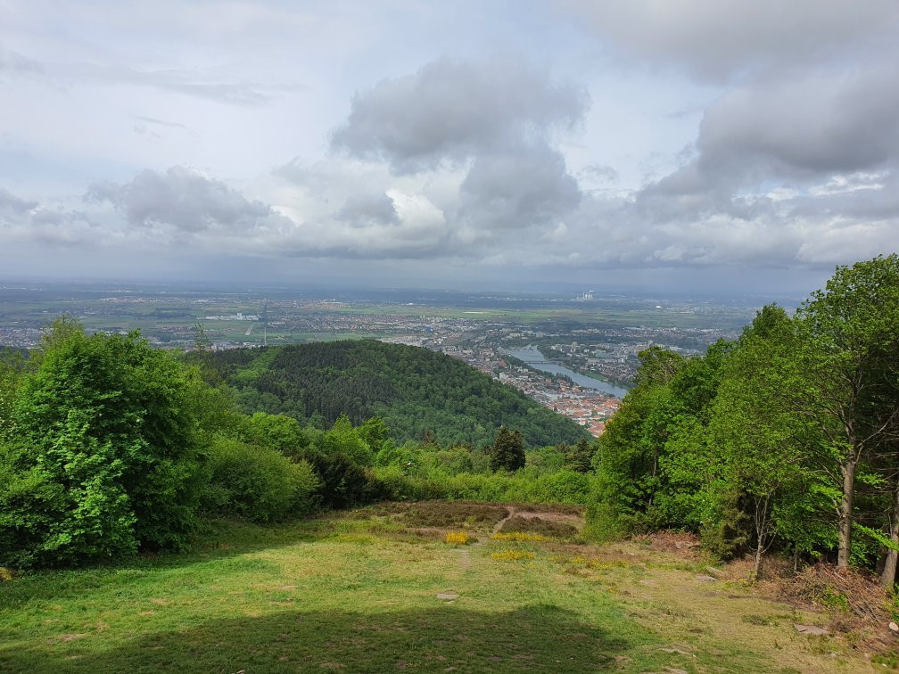 King's Throne (Konigstuhl)景点图片