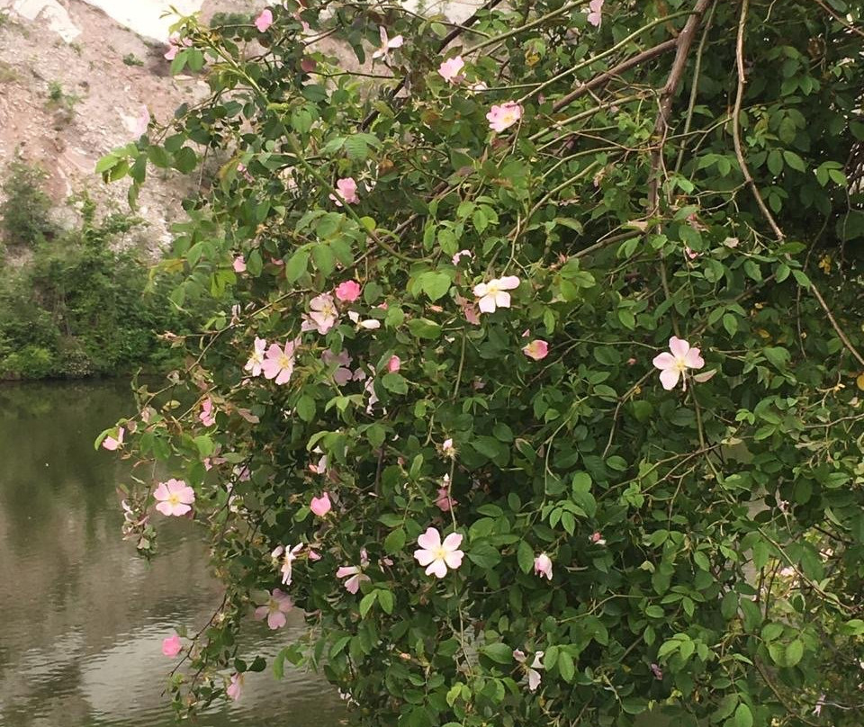 Oasi di Baggero-Merone必去景点