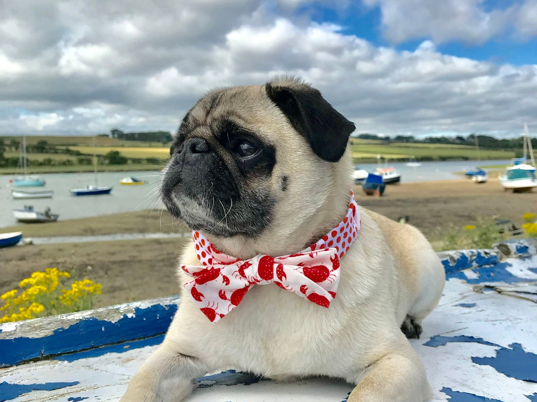 St Valery Boutique Bed & Breakfast主图