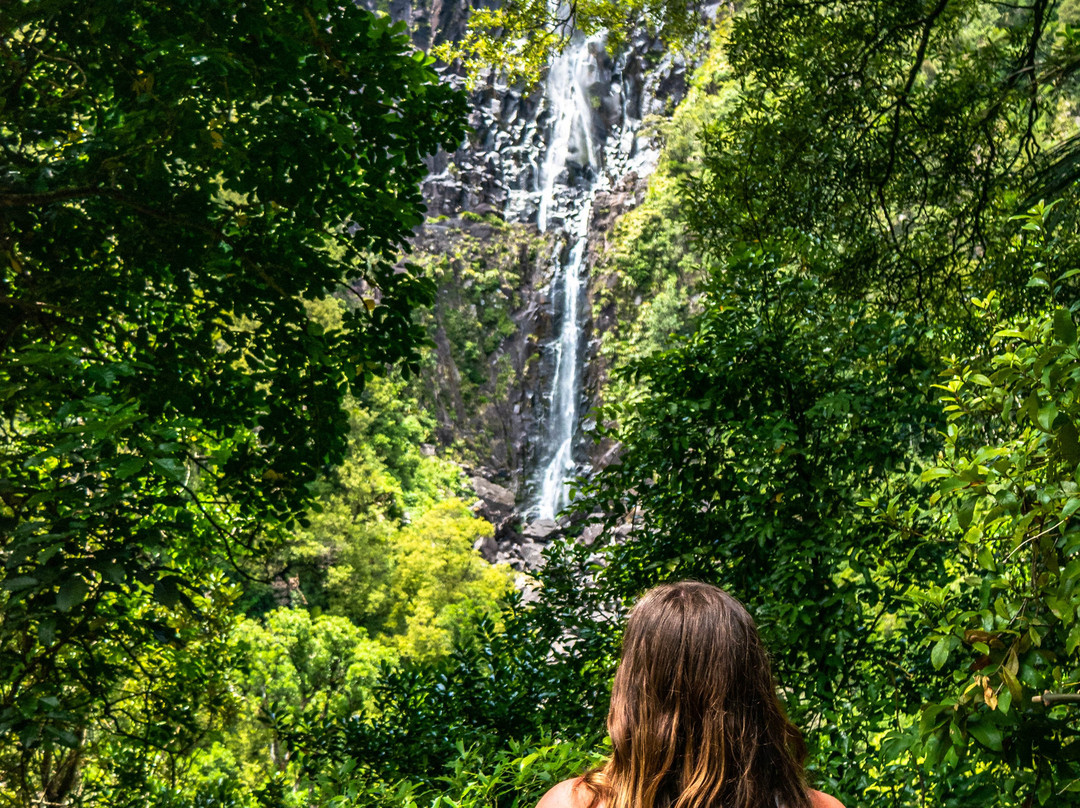 Wairere Falls-Okauia必去景点