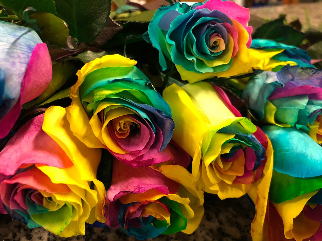 Nardo' garden-纳尔德奥必去景点