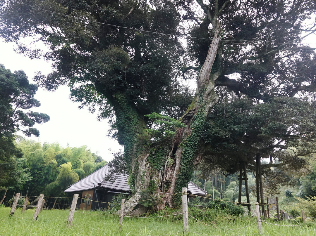 Jakko-ji Temple景点图片