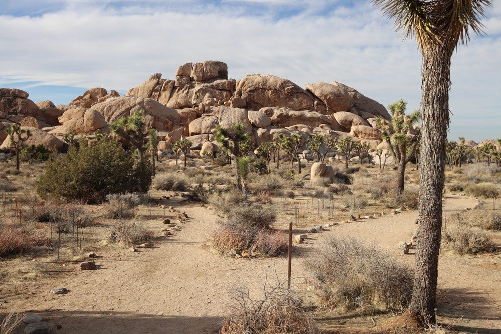 Hall of Horrors-约书亚树国家公园必去景点