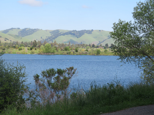 Quarry Lakes Regional Recreation Area-费利蒙必去景点