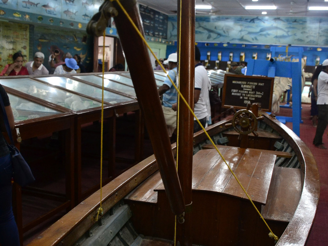 Kavaratti Island Marine Aquarium-Kavaratti Island必去景点