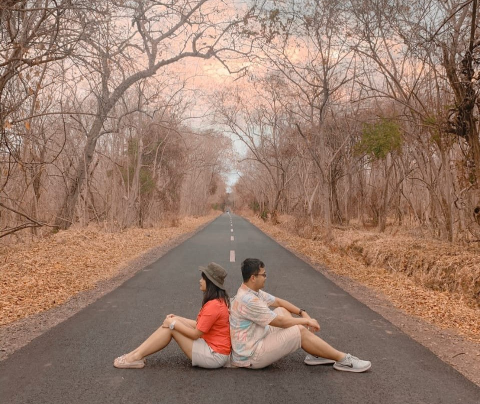 Baluran National Park-Situbondo必去景点