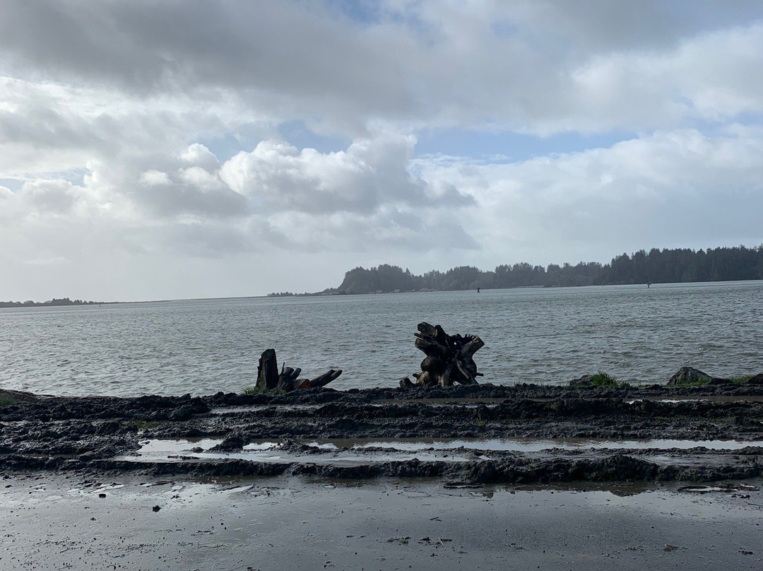 Port of Ilwaco Boardwalk景点图片