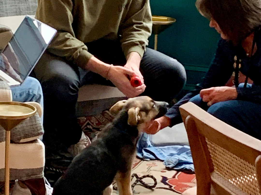 ARRIVE Memphis主图