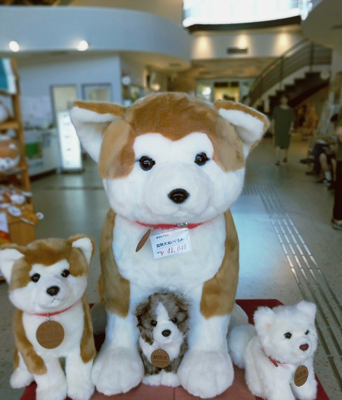 大馆市旅游景点-Akita Inu no Sato