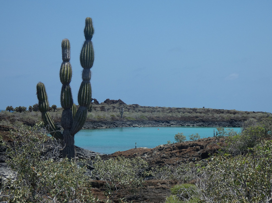 Rosa Blanca-圣克里斯托瓦尔必去景点