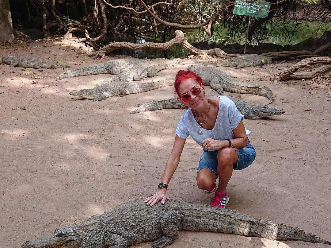 Kachikally Crocodile Pool景点图片