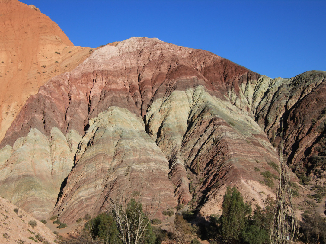 Purmamarca Trekking景点图片