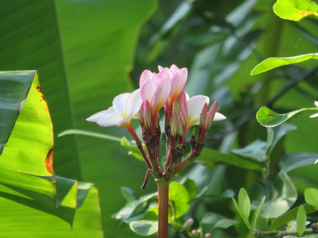 蝉之栈酒店主图
