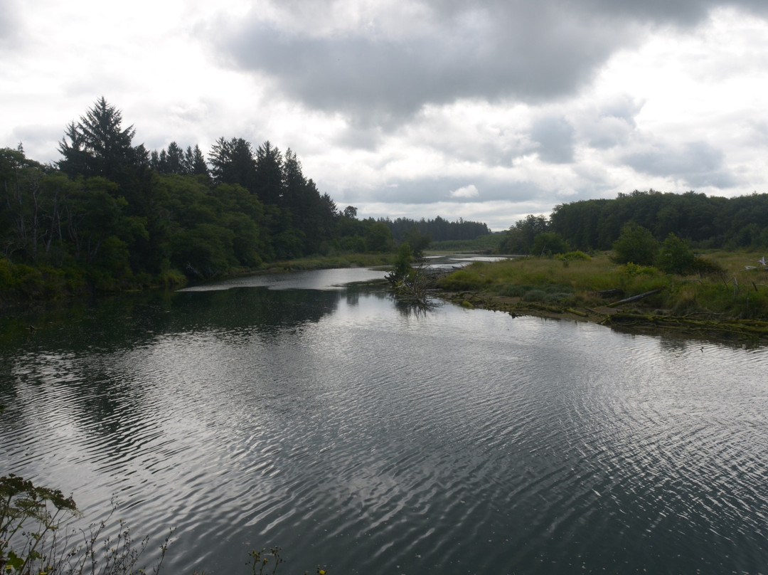 Quillayute River景点图片