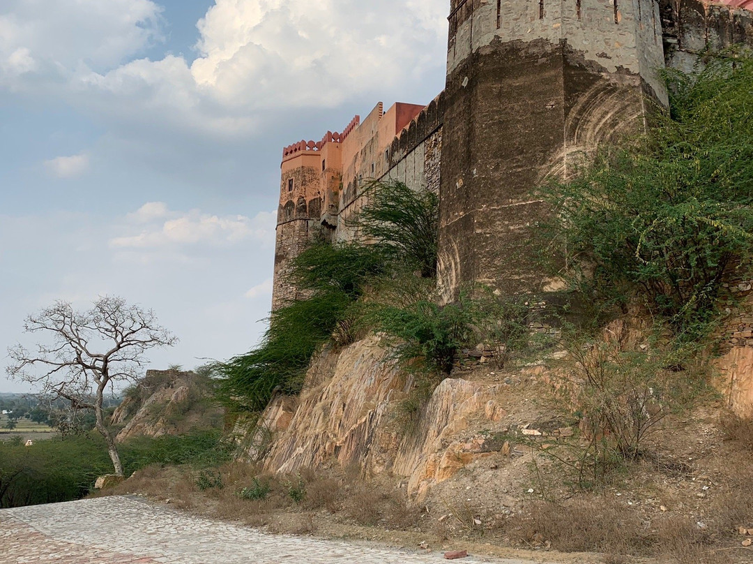 Hotel Fort Madhogarh主图