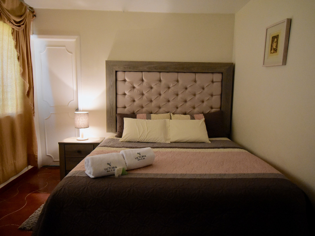 Victoria Hotel y Spa主图