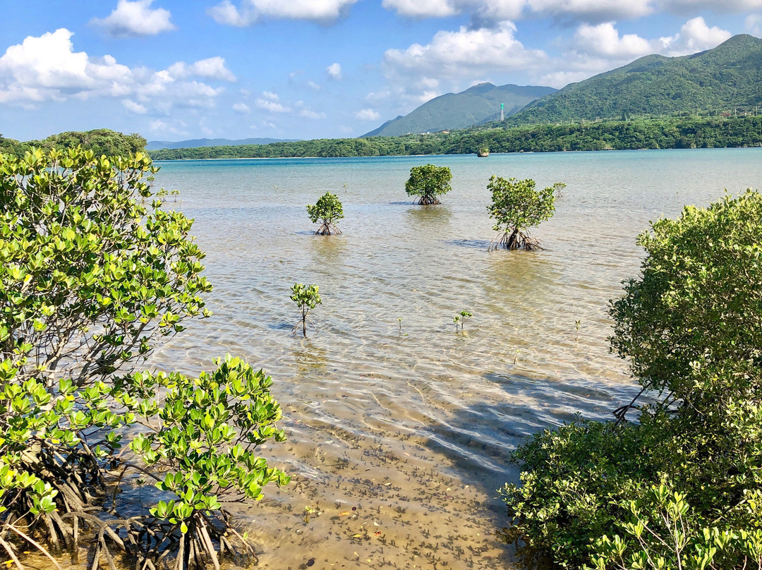 Ishigaki Island Science Garden景点图片