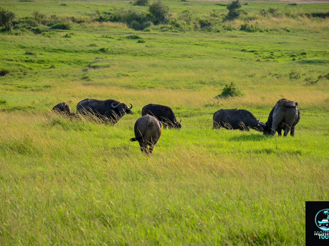 MOHRALE TOURS $ TRAVEL-Eldoret必去景点