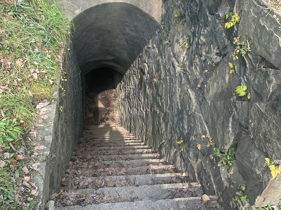 Hinoyama Park景点图片