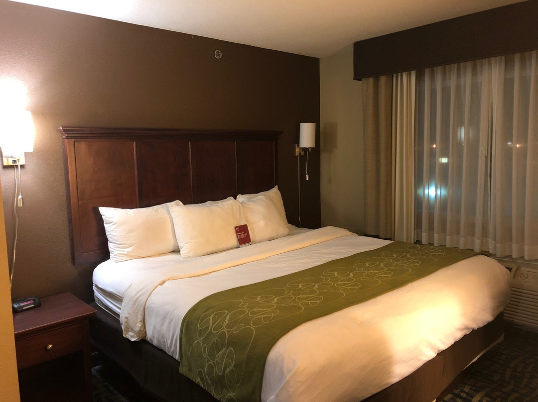 Comfort Suites Columbia主图