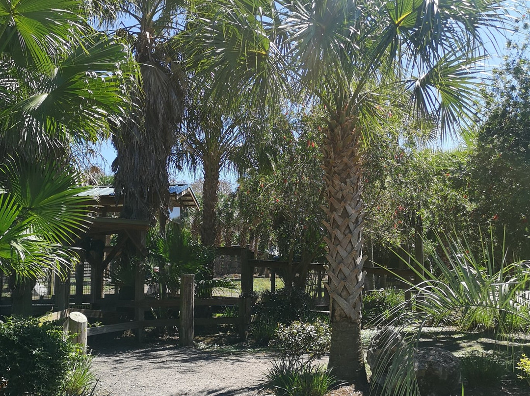 Wild Florida Airboats & Gator Park-Kenansville必去景点