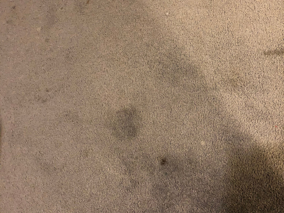 Stay Hotel Guimarães Centro主图