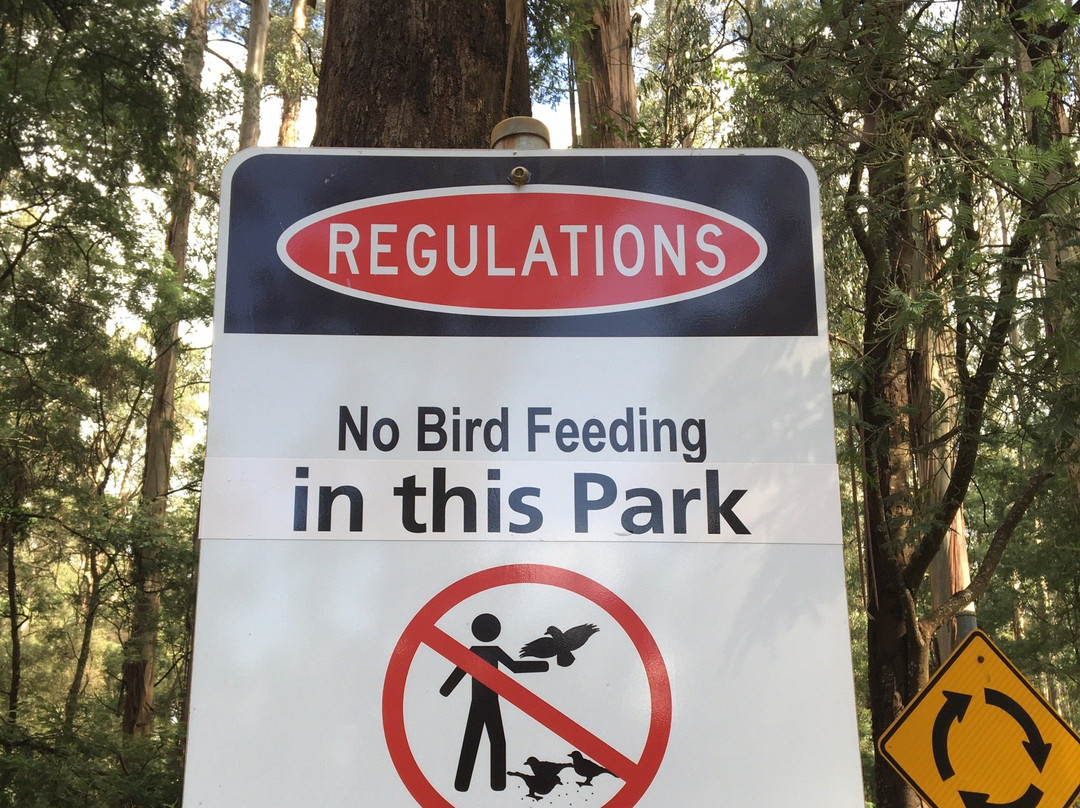 Grants on Sherbrooke-Kallista必去景点