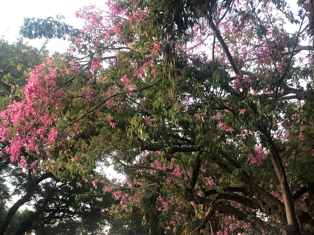 Cataratas JL Shopping-伊瓜苏必去景点